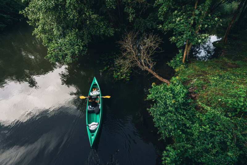 Canoë vue du ciel au milieu de la verdure