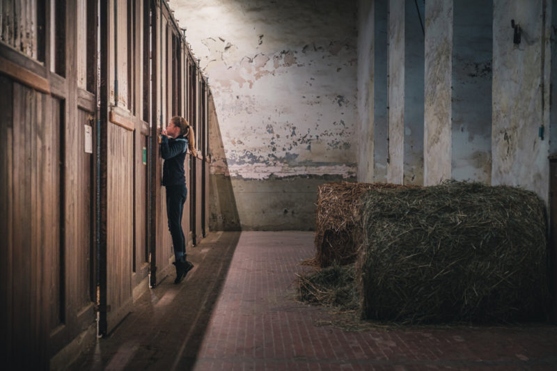 Petite fille sur la pointe des pieds regardant dans un box de l'écurie