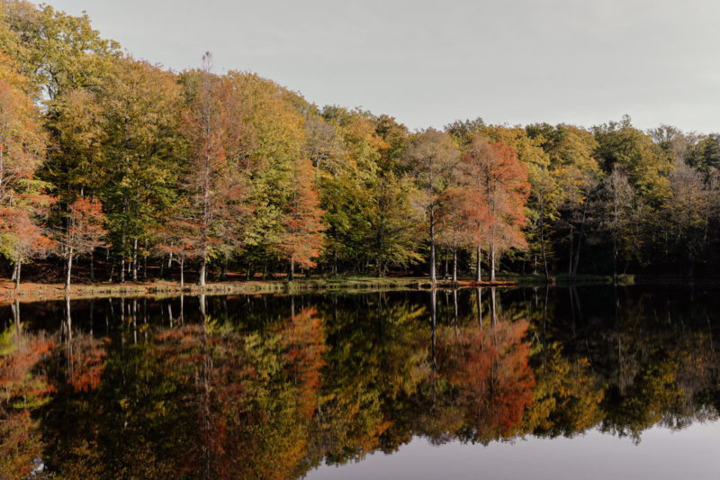 Étang de la Herse avec arbres aux couleurs automnales.