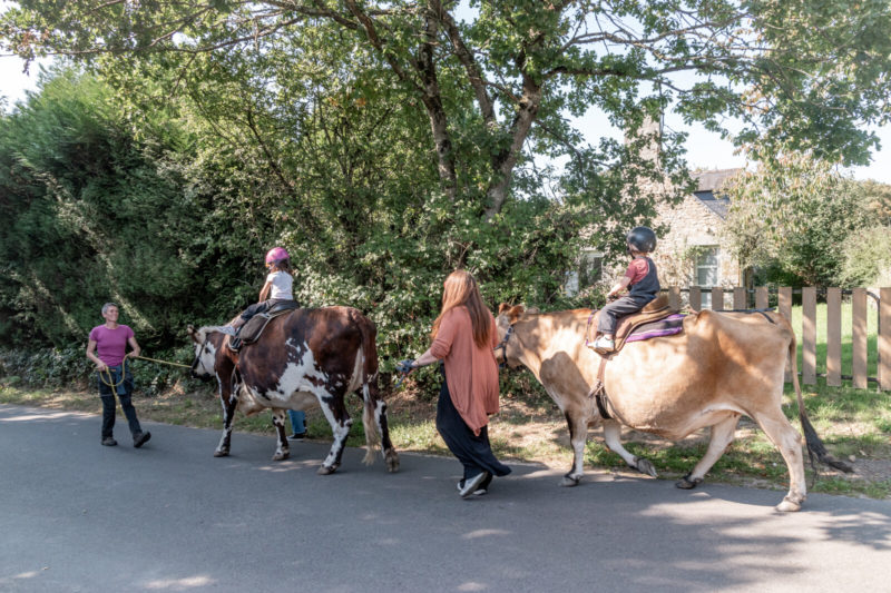 Balade à dos de vache, 2 enfants sur deux vaches, accompagnés d'adultes