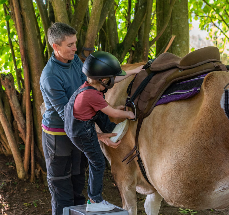 Un adulte aide un enfant à monter sur le dos d'une vache équipée d'une selle