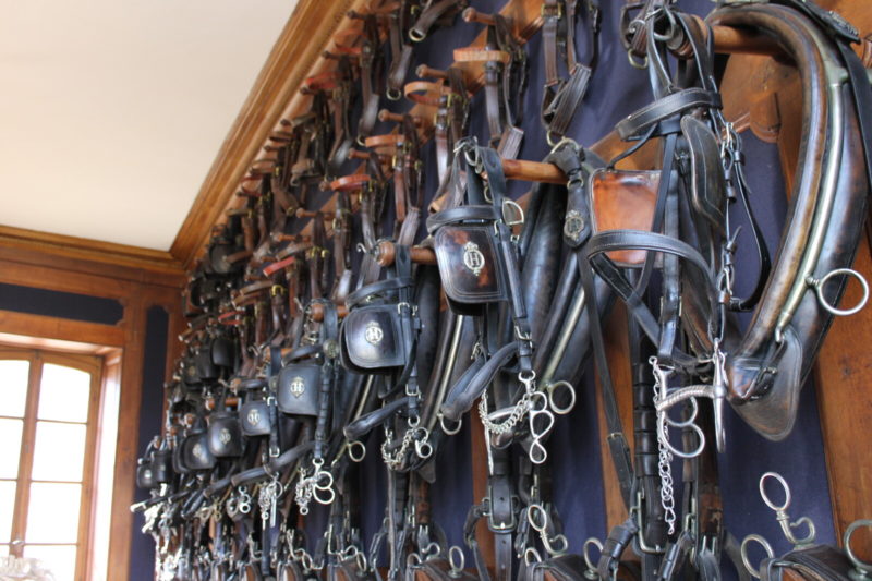 Filets d'équitation avec œillères dans une sellerie