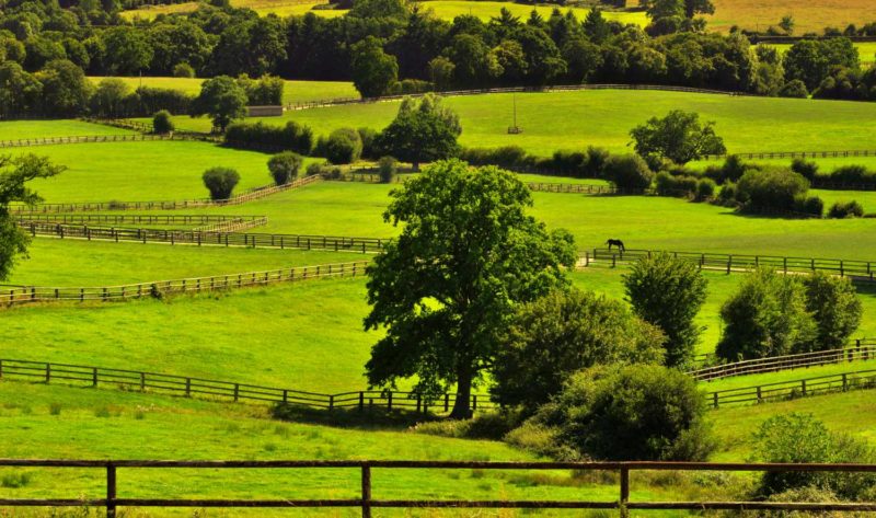 Randonnée sur la route des chaumières, à travers les paysages verdoyants de Normandie