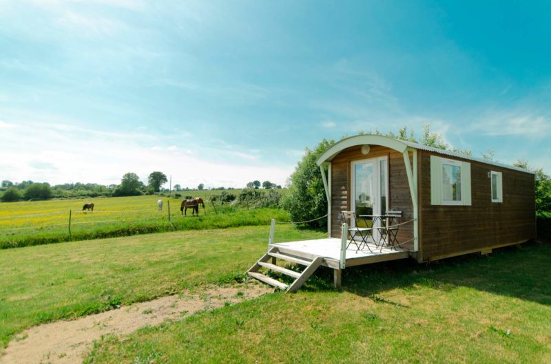 Roulotte en bois au milieu d'un champ, des animaux en arrière plan.