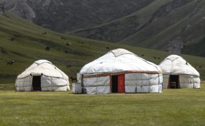 Yourtes mongoles dans une prairie