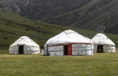 Yourtes mongoles dans une prairie
