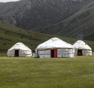 Yourtes mongoles dans une prairie