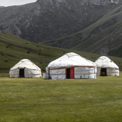 Yourtes mongoles dans une prairie
