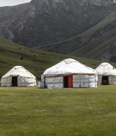 Yourtes mongoles dans une prairie