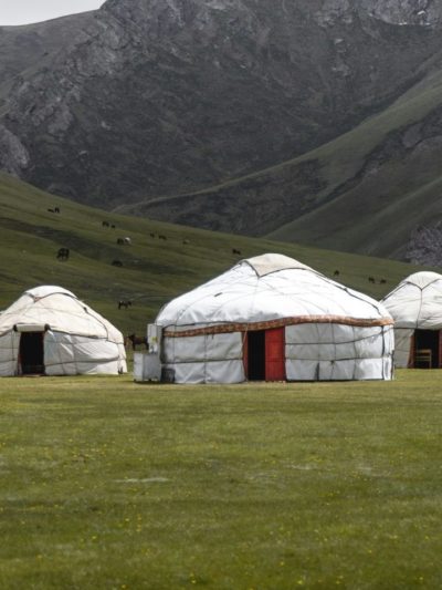 Yourtes mongoles dans une prairie