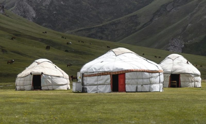 Yourtes mongoles dans une prairie