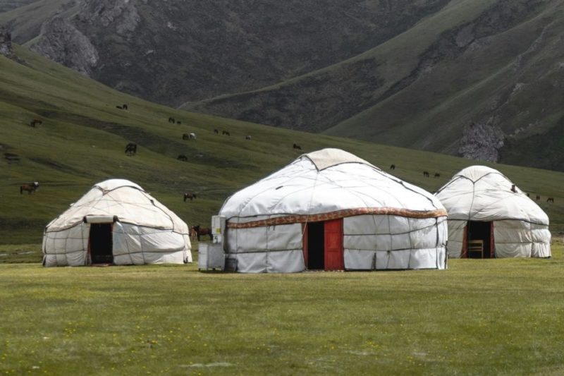 Yourtes mongoles dans une prairie